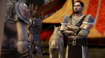 Dragon Age Origins - Ash Warriors