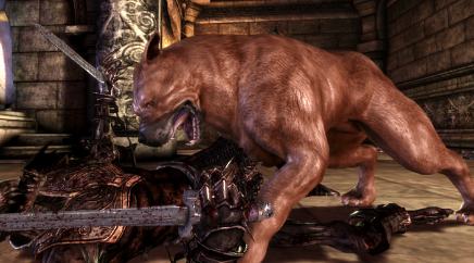 Dragon Age Origins - Dog