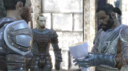 Dragon Age Origins - Grey Wardens