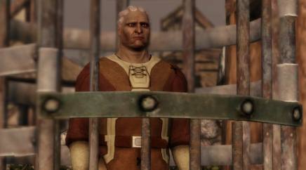Dragon Age Origins - Sten
