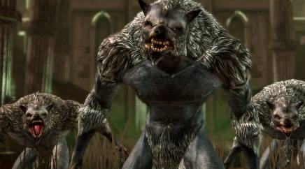 Dragon Age Origins - Werewolves
