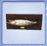 wall_mounted_fish.tif