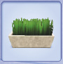 wheat.tif