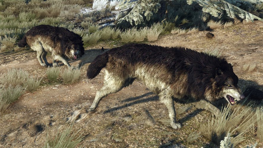 HairWorks simulates impressively detailed fur in the creatures encountered in The Witcher 3: Wild Hunt.