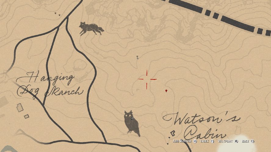 Red Dead Redemption 2 Bear Location