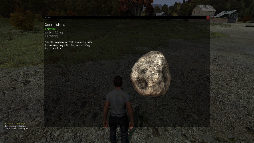 A Small Stone in DayZ