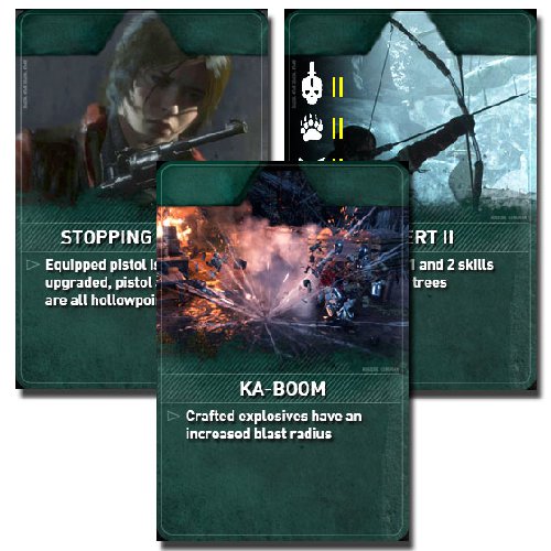 Rise of the Tomb Raider CE Expedition Card Pack