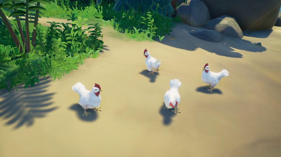 How to catch chickens in Sea of Thieves