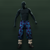 Protector of Tertium Skin - Pants Image from Twitch Drop Campaign