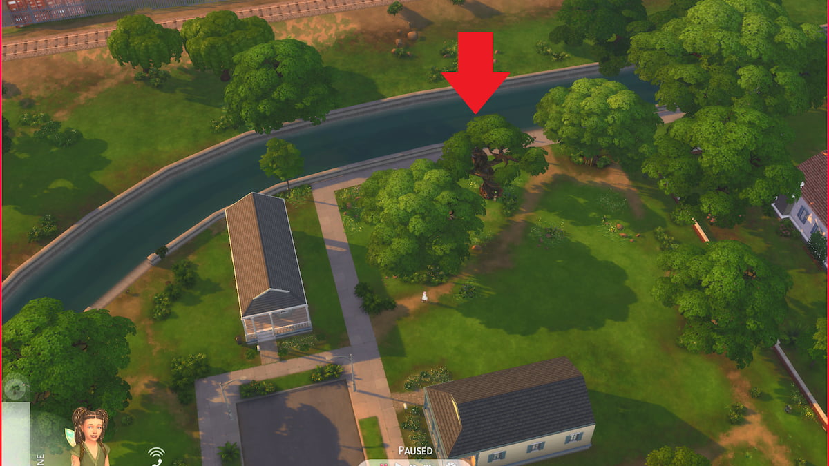 Sylvan Glade trees marked in The Sims 4