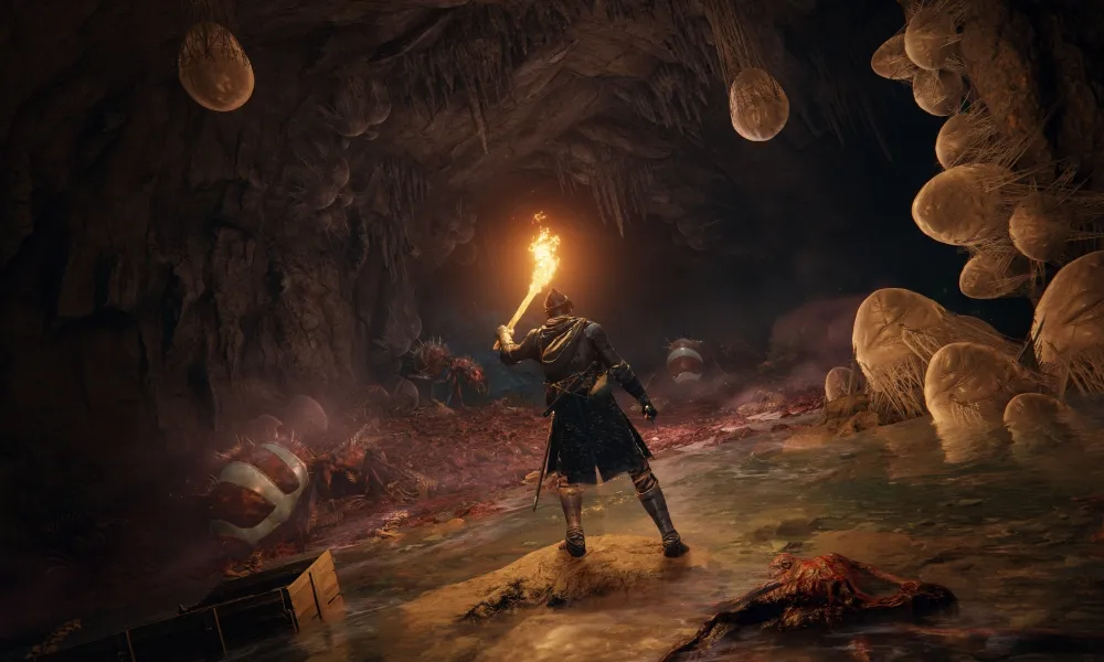 Elden Ring artwork of a tarnished character holding up a torch in a cave filled with large webbed eggs