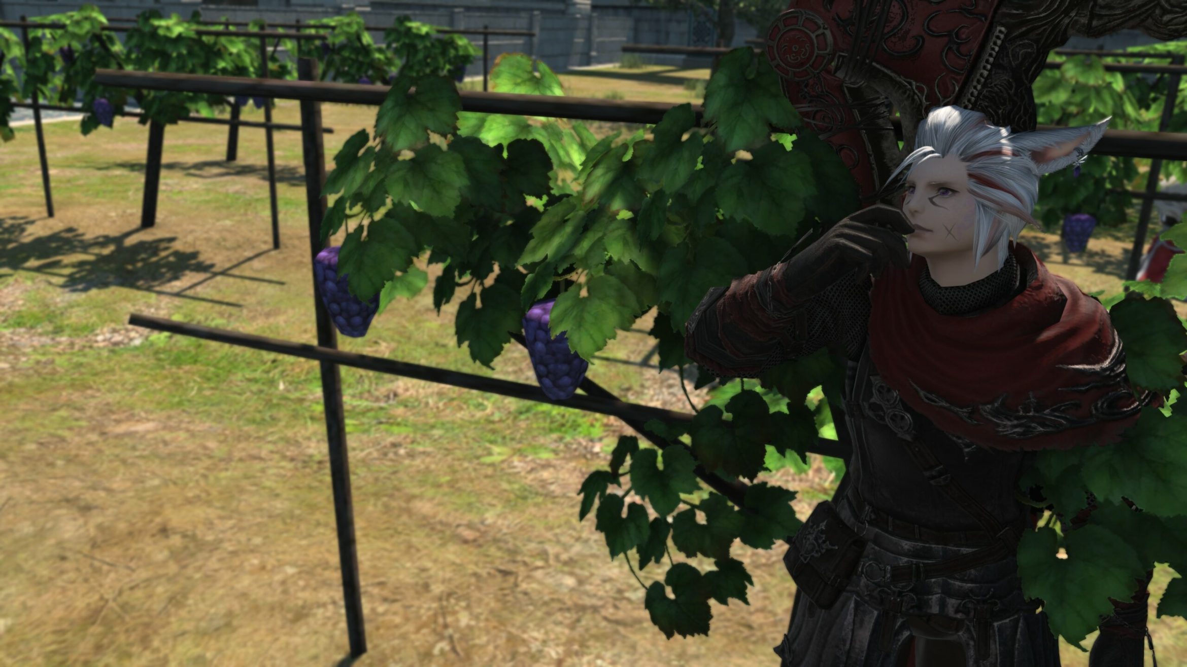 How to Get Golden Cocoon in FFXIV Update 6.1 Prima Games