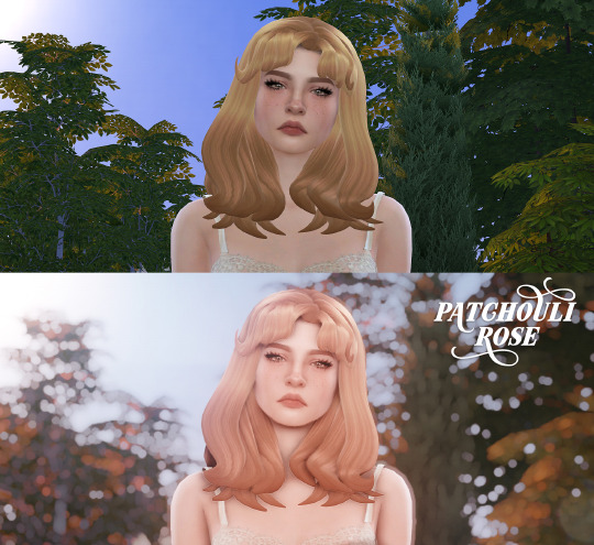 sims 4 preset reshader