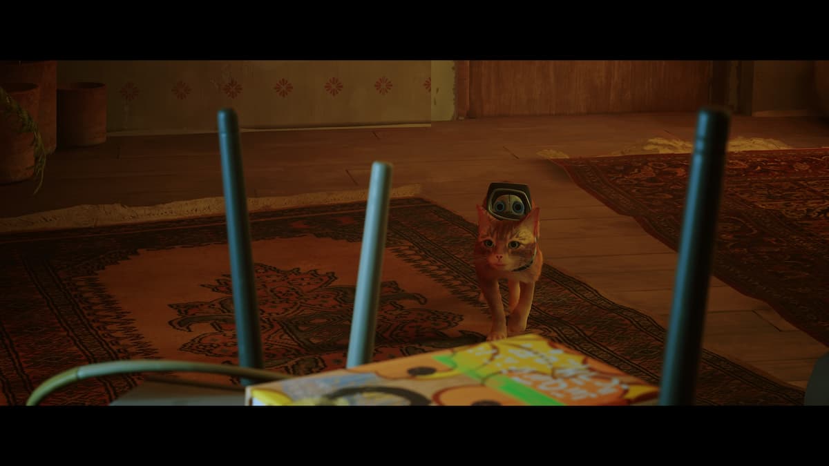 All Notebook Locations in Stray Prima Games