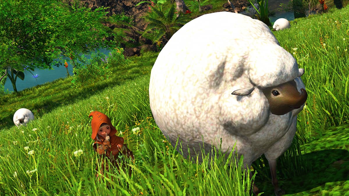 How To Catch A Sheep In FFXIV