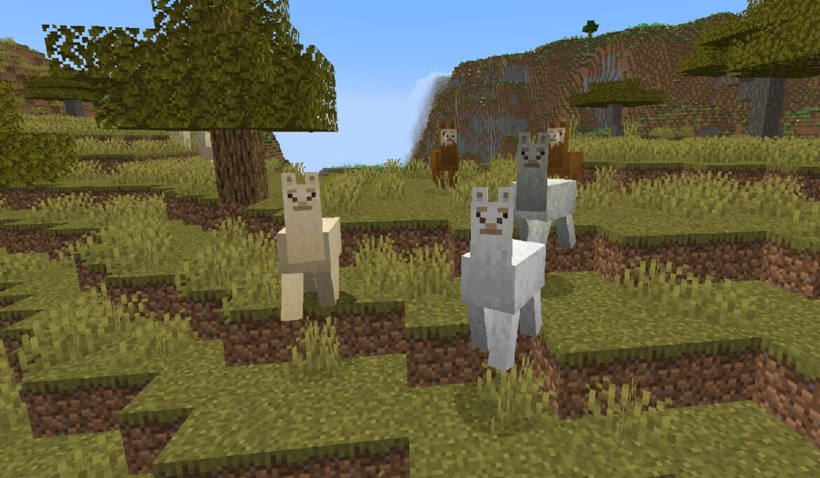 Minecraft Llamas