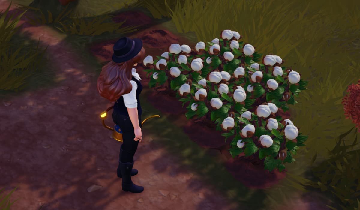 How to Get Cotton in Disney Dreamlight Valley - Prima Games