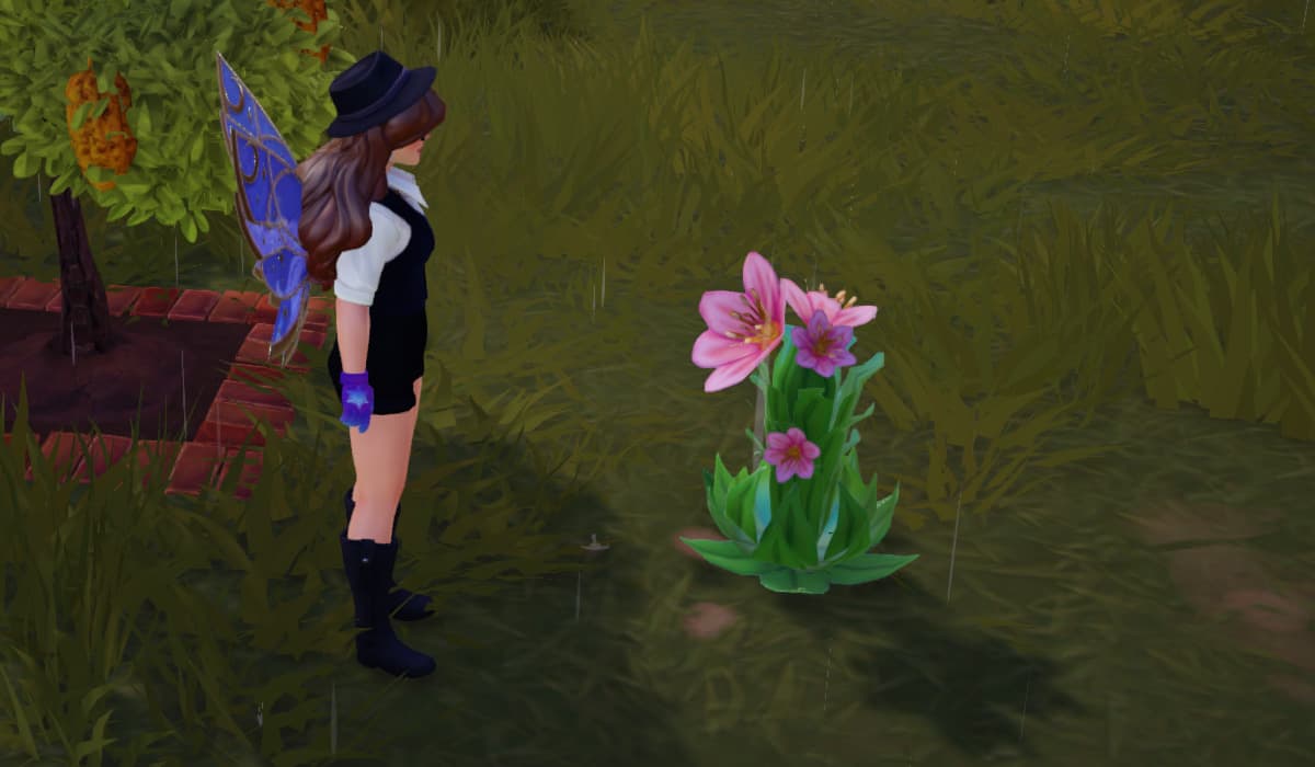 Where to Find Pink Houseleek in Disney Dreamlight Valley - Prima Games