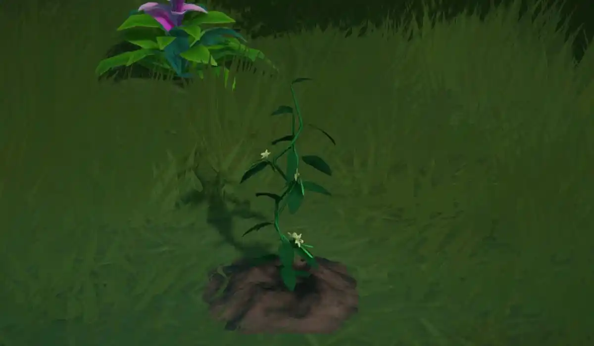 Where to Get Vanilla in Disney Dreamlight Valley - Prima Games