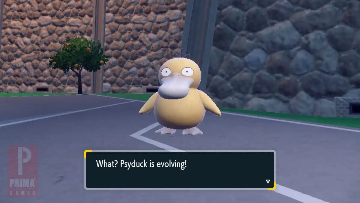 psyduck evolution