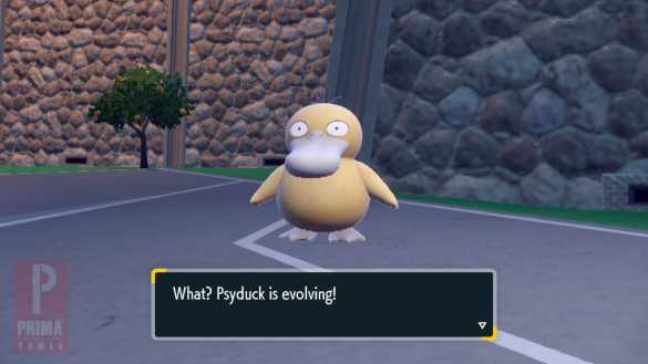 How to Evolve Psyduck into Golduck in Pokemon Scarlet and Violet