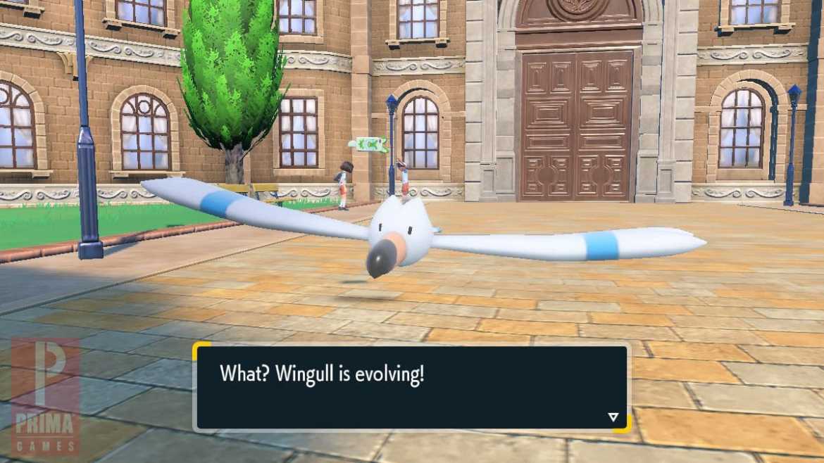 How to Evolve Wingull Into Pelipper in Pokemon Scarlet and Violet