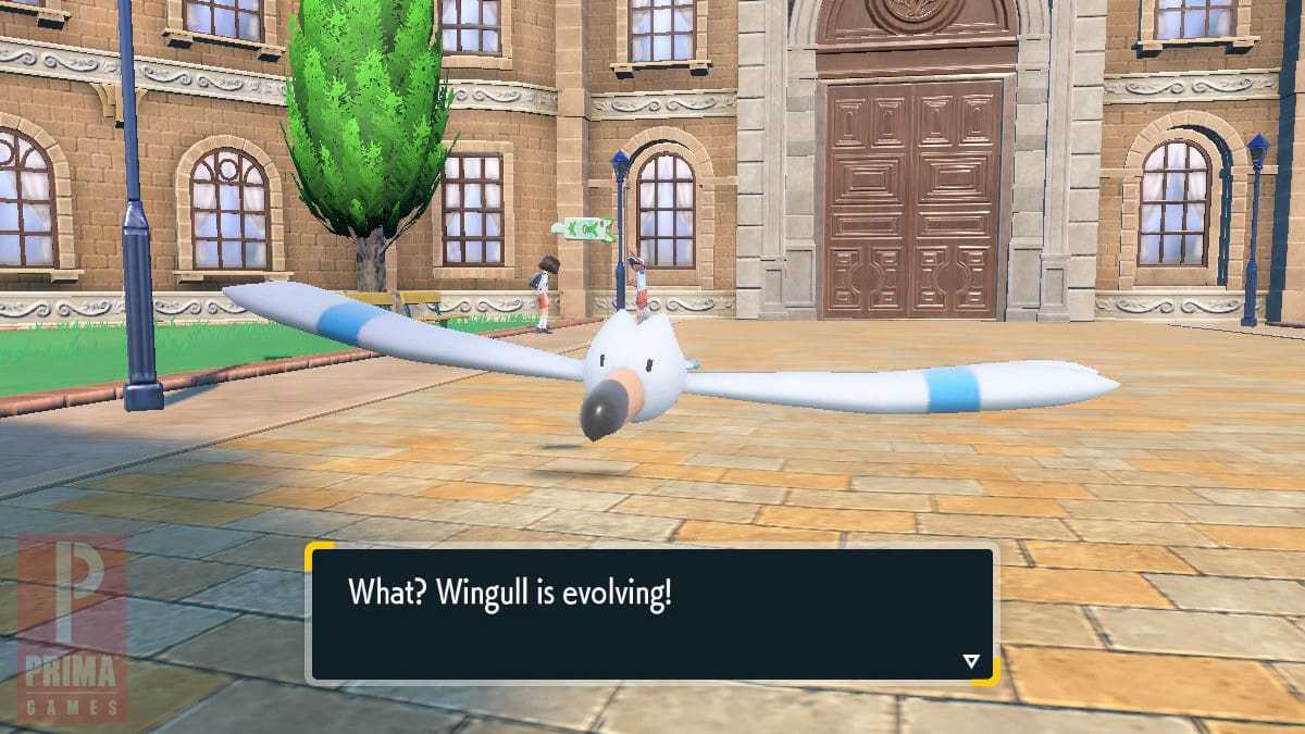 Wingull Evolution Ruby How to Evolve Wingull into Pelipper in Pokemon Scarlet and Violet ...