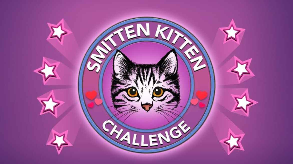 BitLife Smitten Kitten Challenge