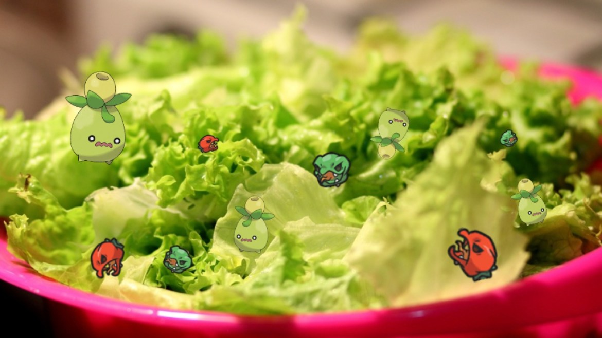 Pokemon Smoliv Scovillain Salad