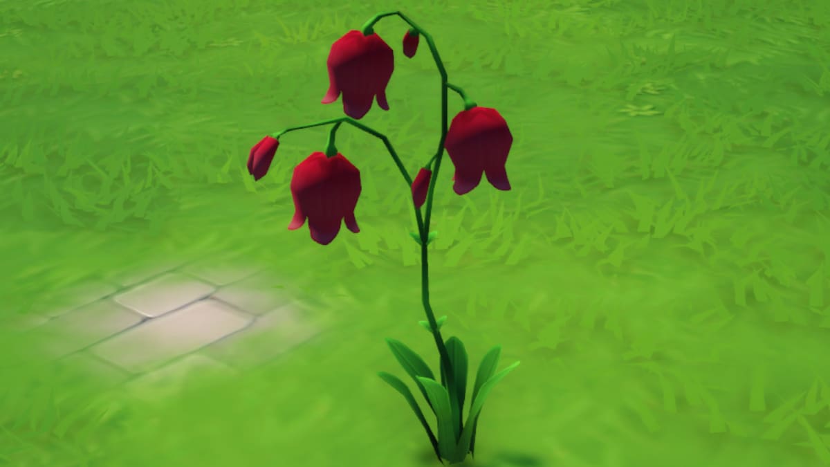 Red Bell Flower
