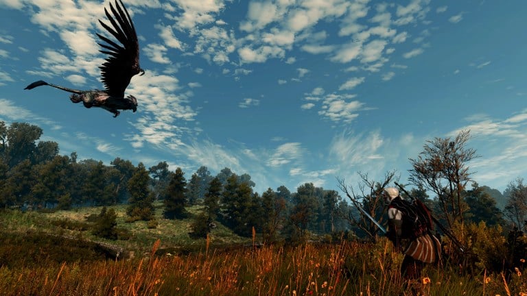 How to Use Photo Mode in The Witcher 3 Next-Gen Upgrade - Prima Games