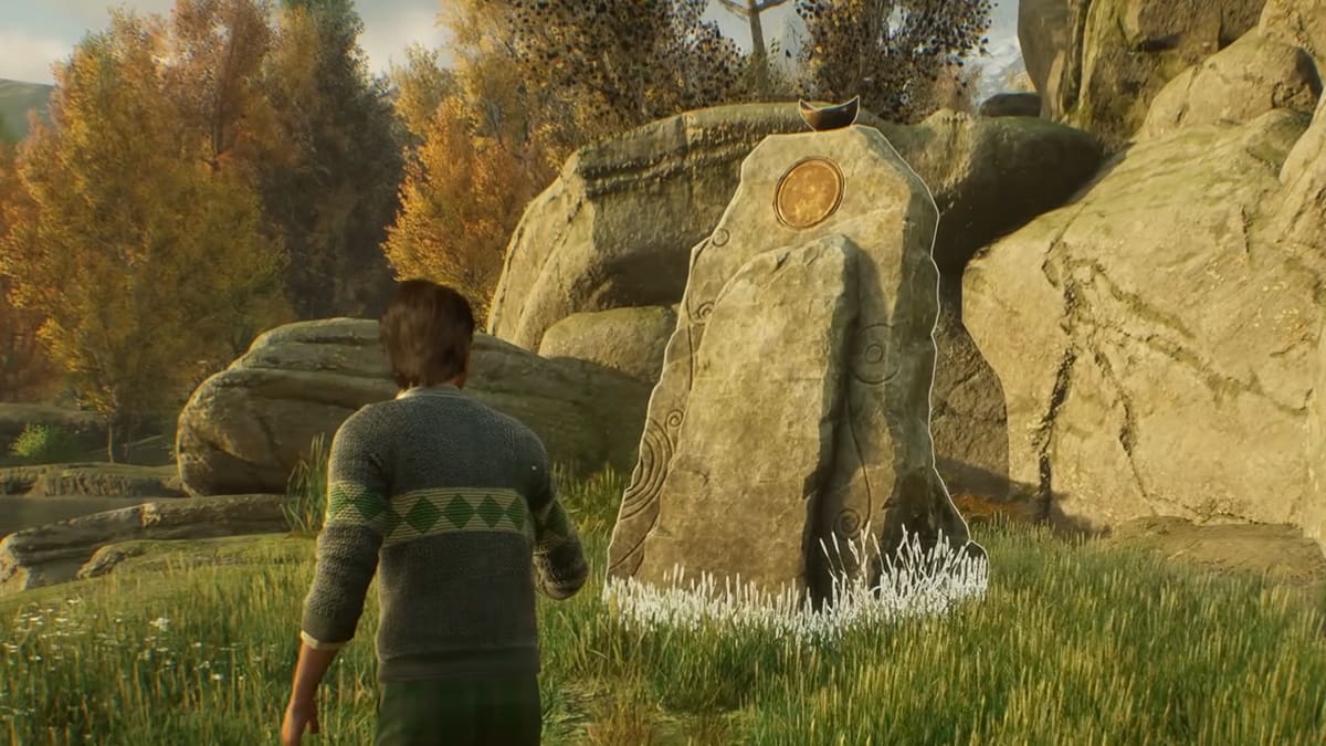 What is the Vivarium in Hogwarts Legacy? Answered Prima Games