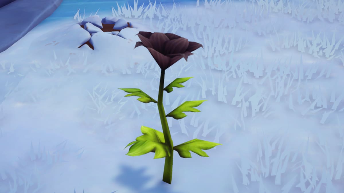 Where to Find Black Passion Lily in Disney Dreamlight Valley Prima Games