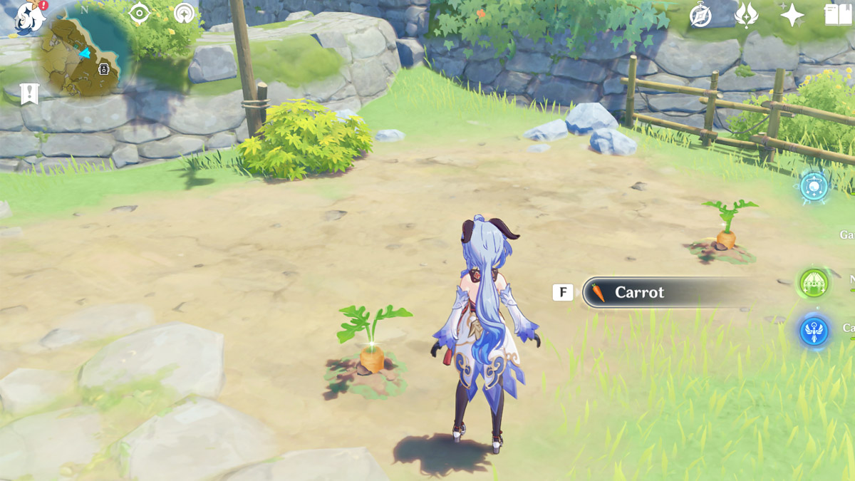 Where to Find Carrots in Genshin Impact Prima Games
