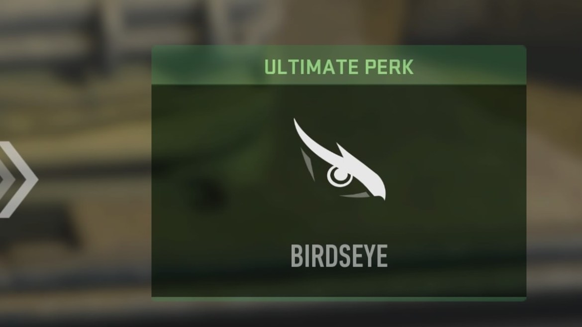 Birdseye Perk