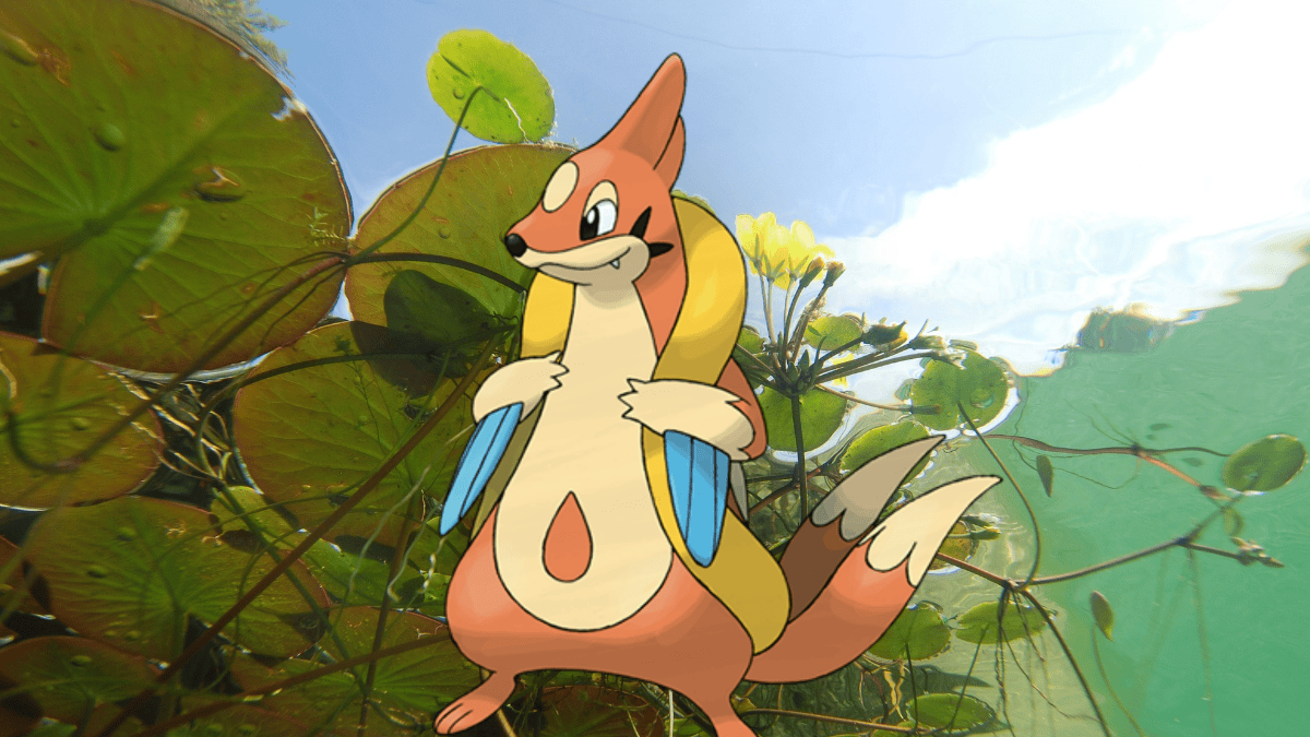 Floatzel Shuffle How to Get (and Defeat) Floatzel in Pokemon GO - Prima Games