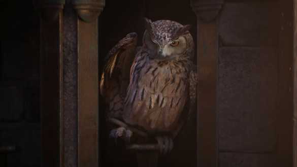 Hogwarts Legacy’s New Cinematic Trailer Dragons Dark Forests and a Brave Owl