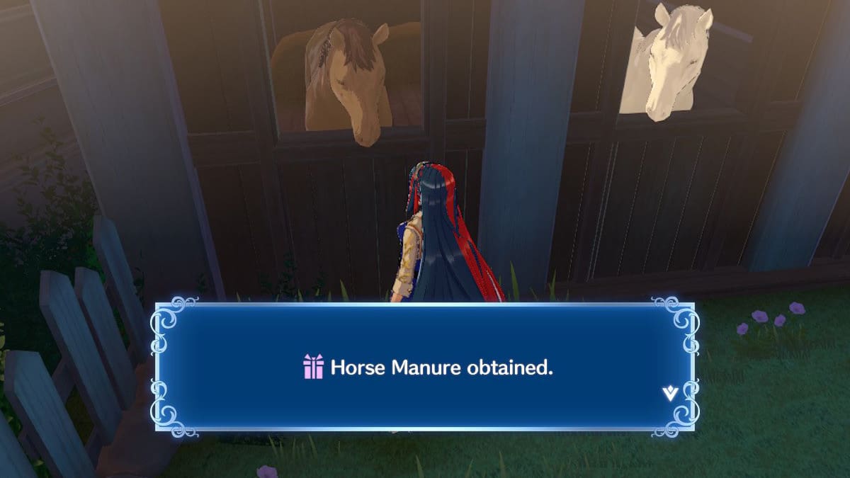 Horse Manure in Fire Emblem Engage