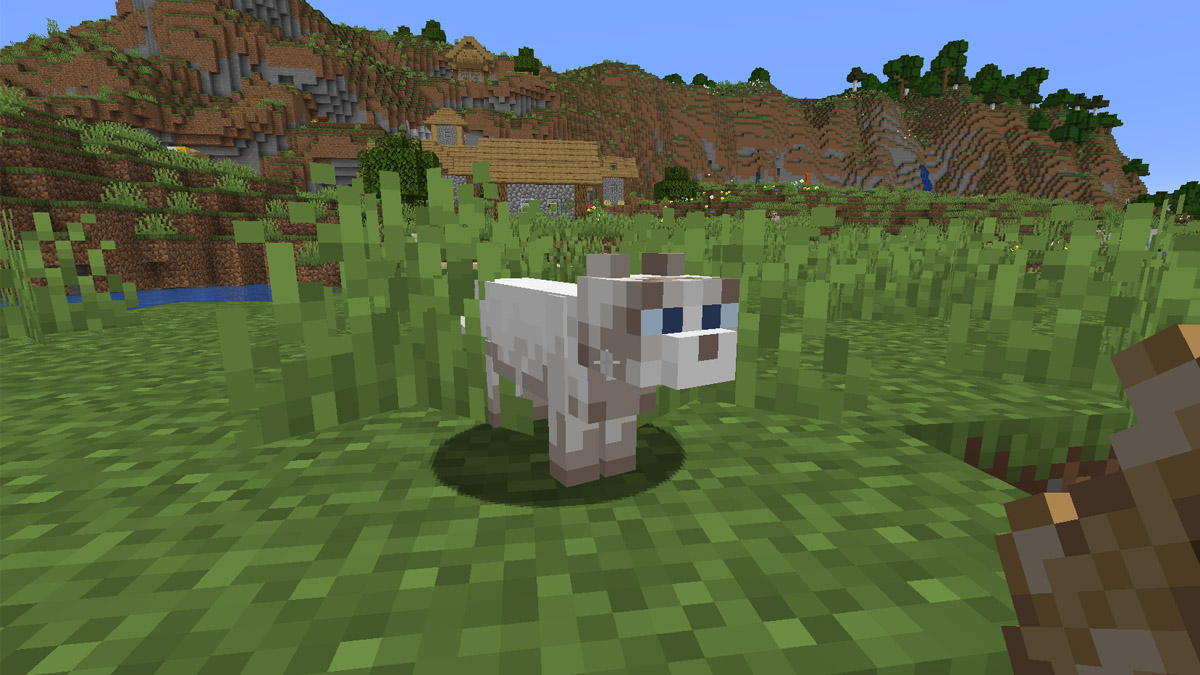 How to Tame a Cat Minecraft