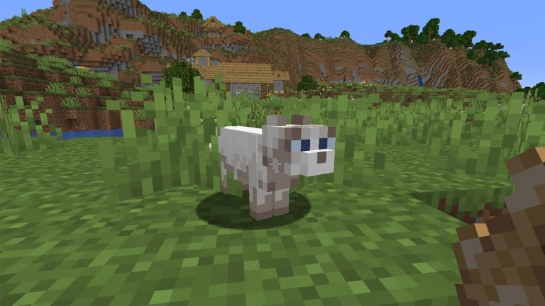 how-to-name-a-cat-in-minecraft-creative-mode-quora