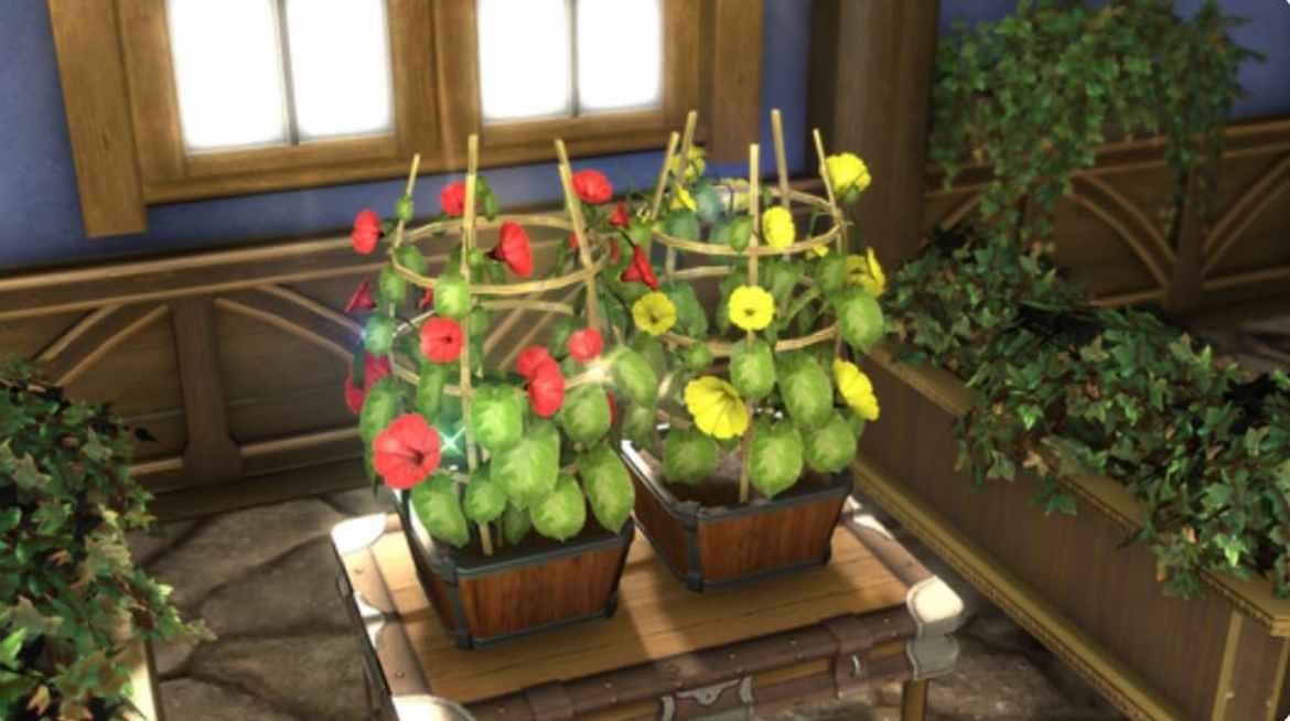 FFXIV Where to Purchase Morning Glory Seeds in 6.3 Prima Games