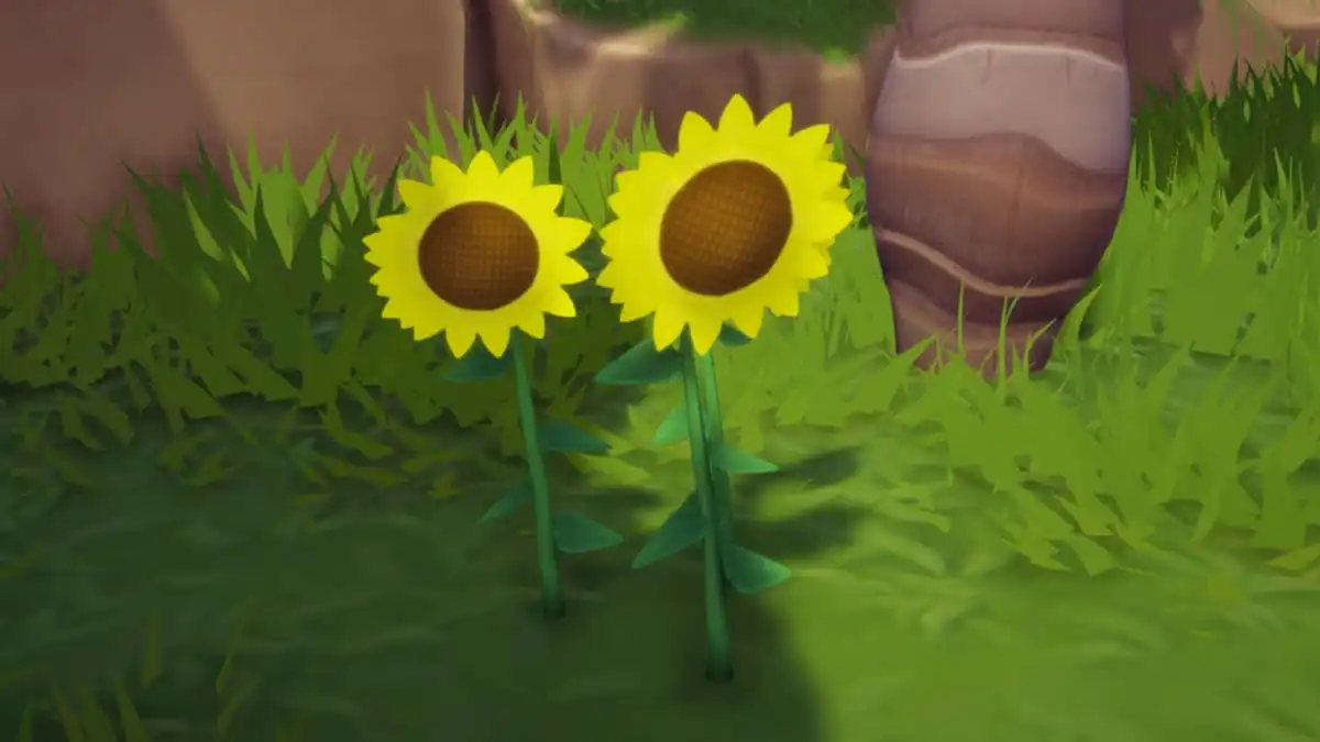 Where to Find Sunflowers in Disney Dreamlight Valley Prima Games