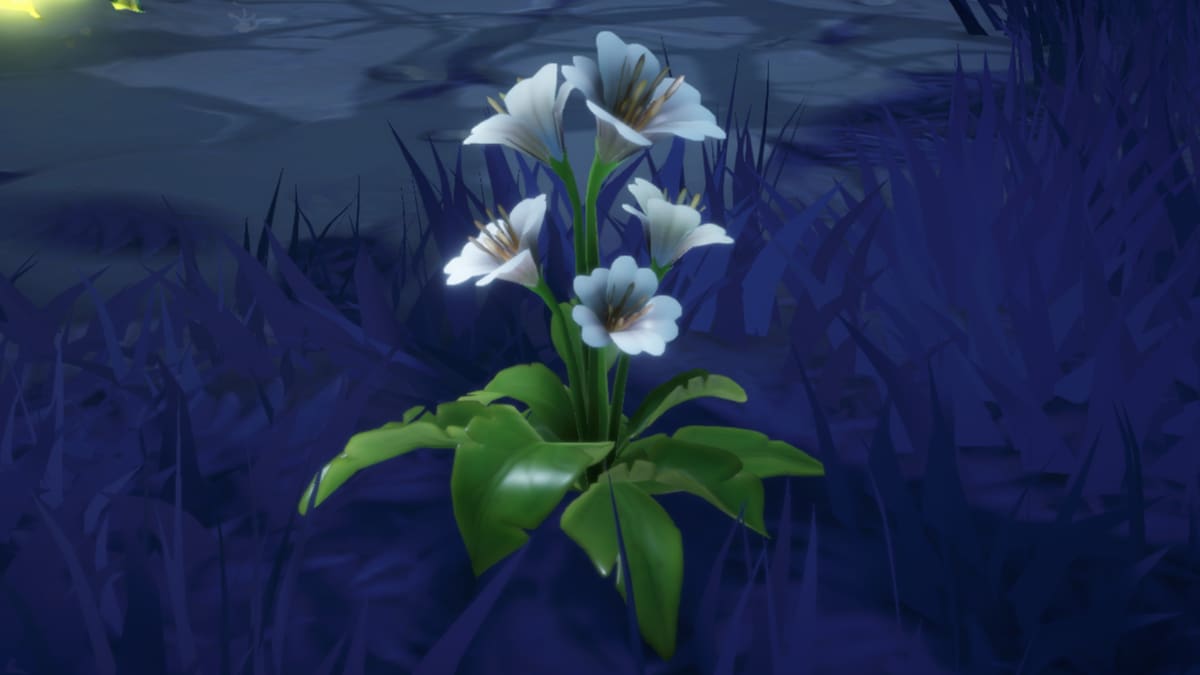 Where to Find White Impatiens in Disney Dreamlight Valley - Prima