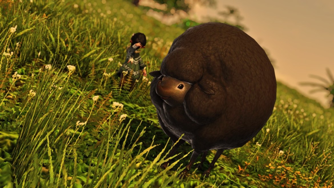FFXIV Island Sanctuary 6.3 All Rare Animals and How to