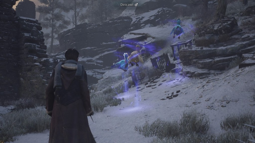 Where to Find Diricawl in Hogwarts Legacy Prima Games