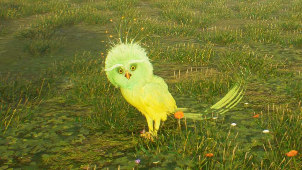 Where to Find a Fwooper in Hogwarts Legacy Prima Games