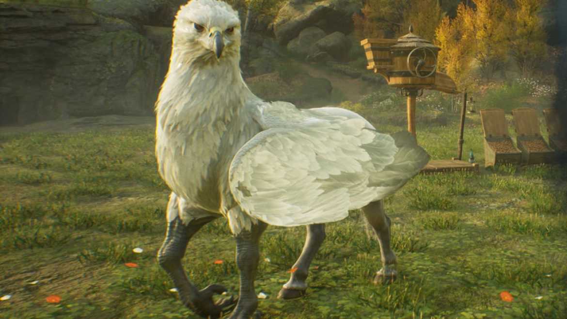 Hippogriff Hogwarts Legacy Cutest Animals List