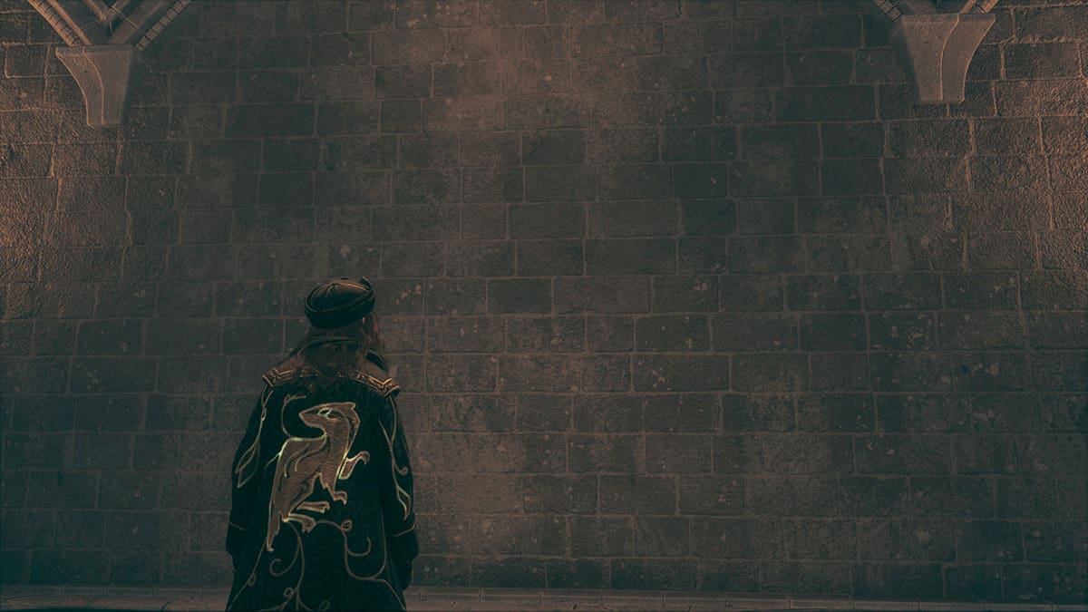 Where To Find The Slytherin Common Room In Hogwarts Legacy Prima Games where-to-find-the-slytherin-common-room-in-hogwarts-legacy-prima-games
