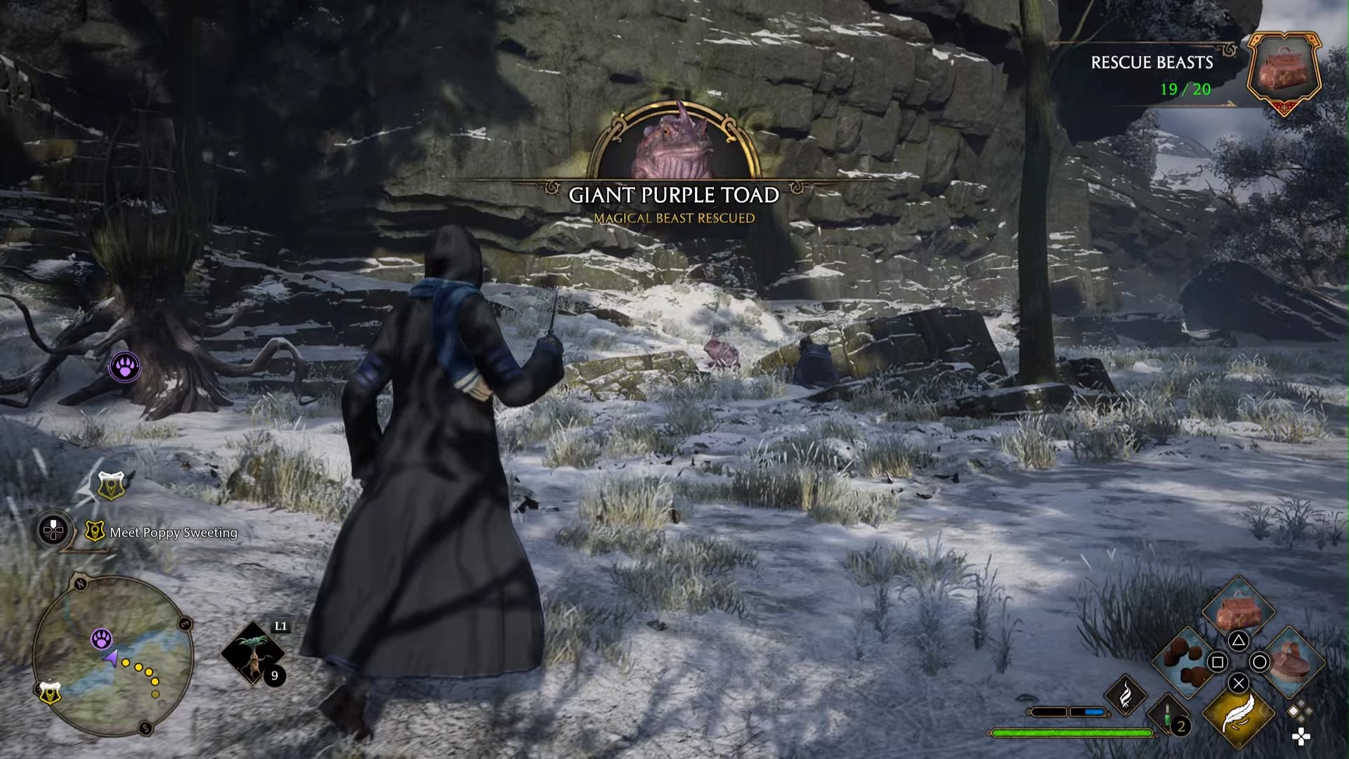 How to Obtain Toad Warts in Hogwarts Legacy Prima Games