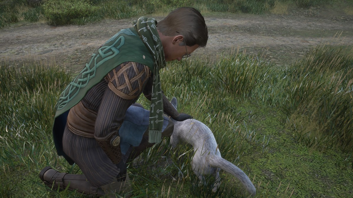 Can You Pet Cats in Hogwarts Legacy? Answered Prima Games